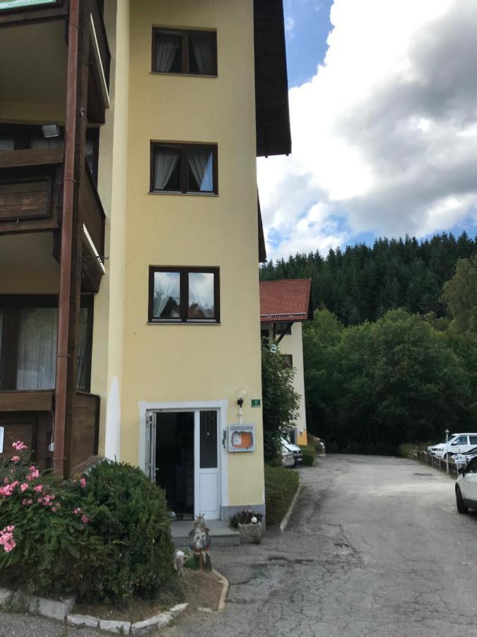 Eisenstein Appartement Bayerisch Eisenstein Buitenkant foto